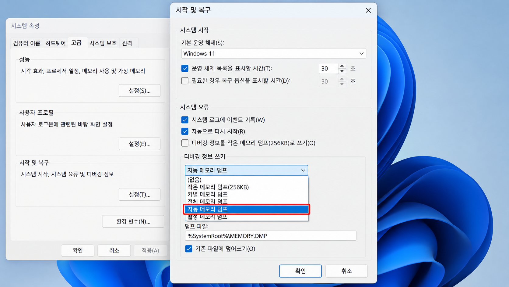 자동 메모리 덤프 설정