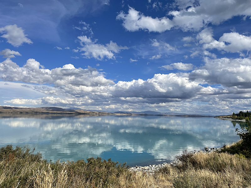 향기블렌딩과 MBTI