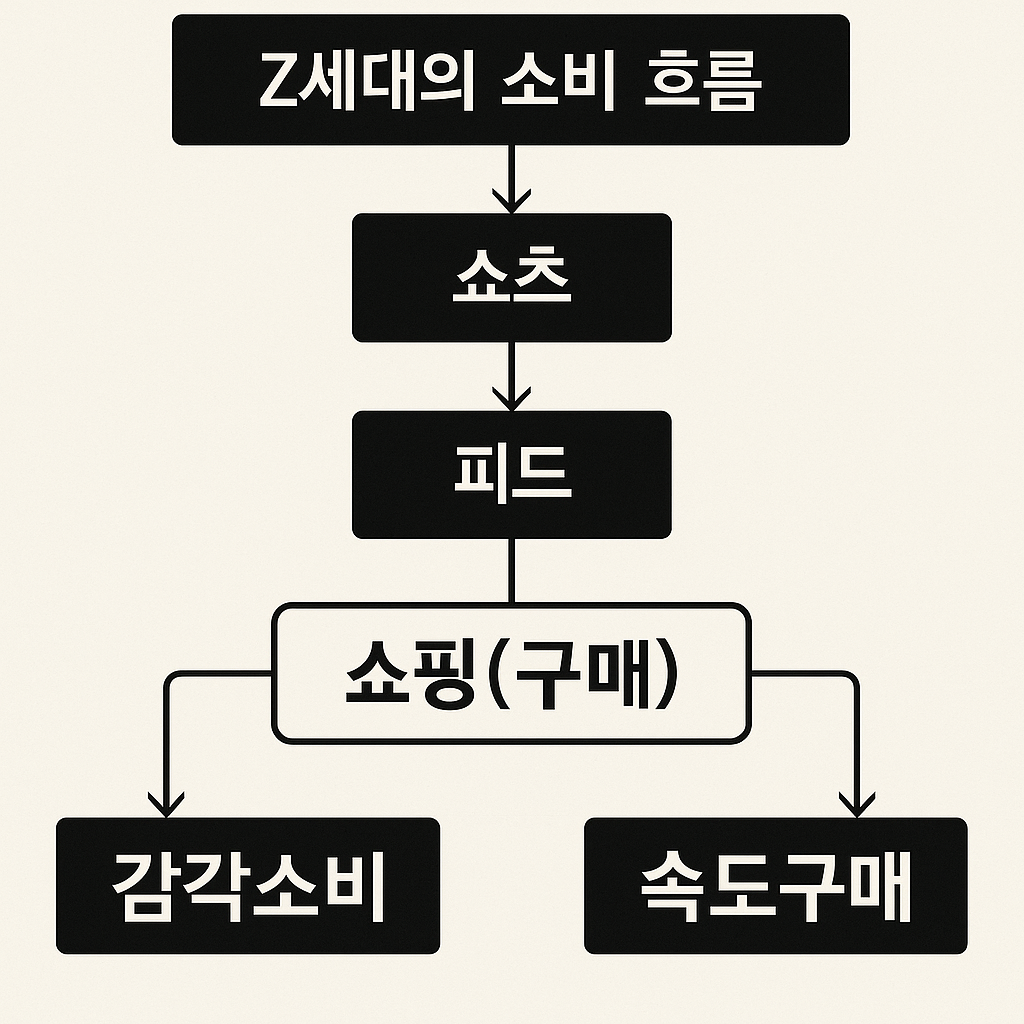 인스타 피드, 쇼츠 쇼핑, 감각소비, 속도구매
Z세대의 소비 흐름을 나타내는 쇼츠-피드 기반 구조도