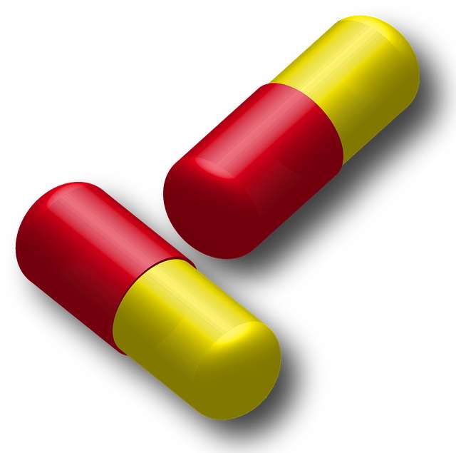 눈 건강 영양제