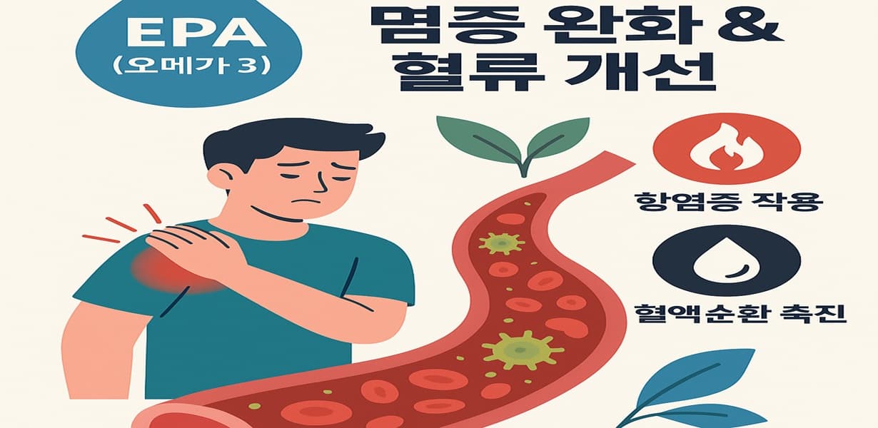 “EPA의 염증 완화와 혈류 개선 효과를 표현한 인포그래픽 이미지”