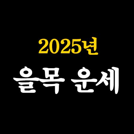 2025년 을사년 을목 일간 운세