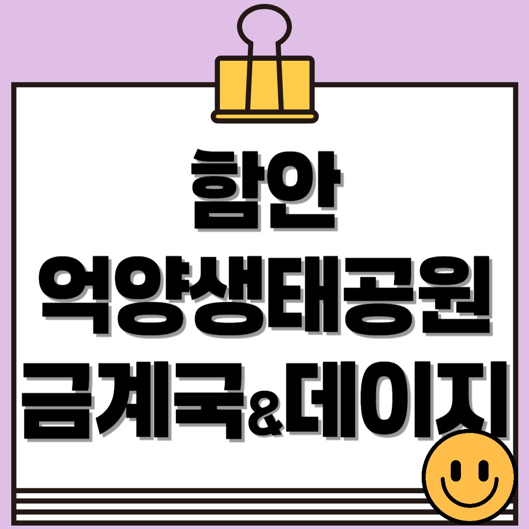 함안 악양생태공원 금계국 & 샤스타데이지 만개 시기와 포토존 총정리