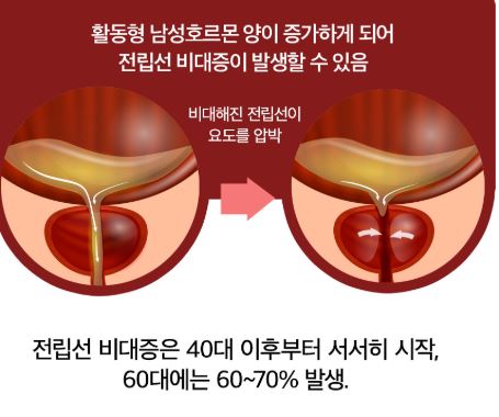 비아노스효능