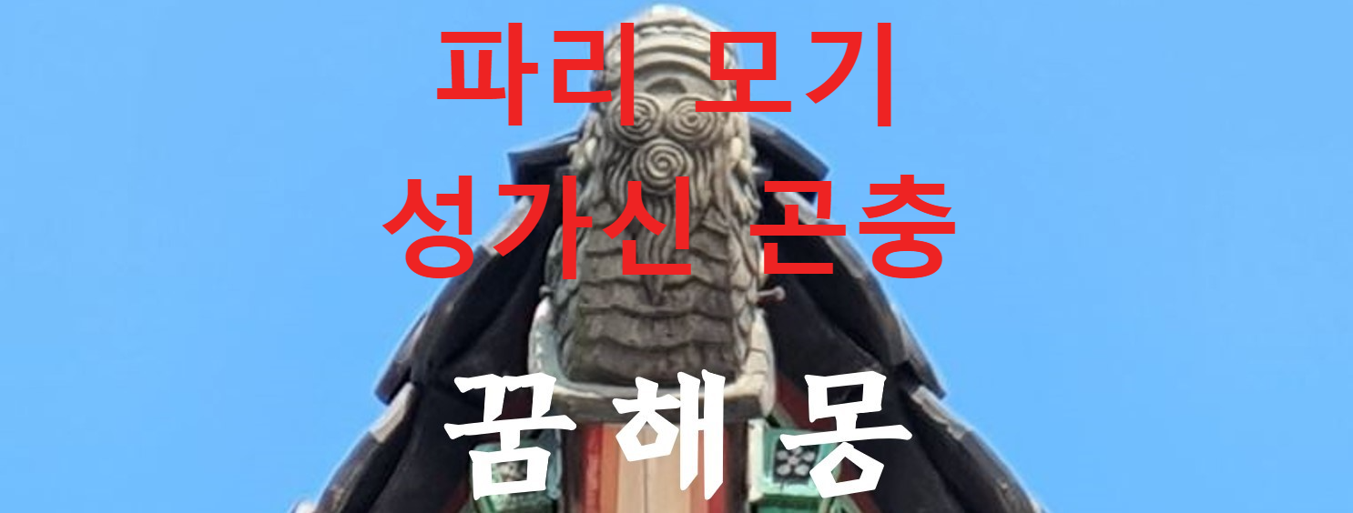 꿈해몽