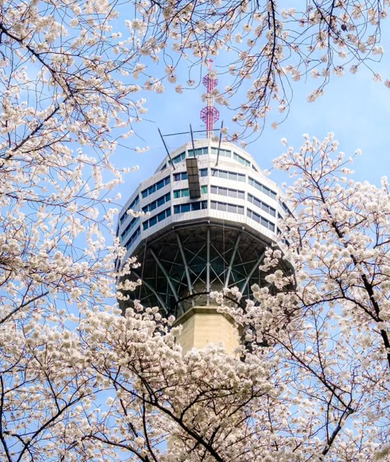 대구 이월드 자유이용권 할인