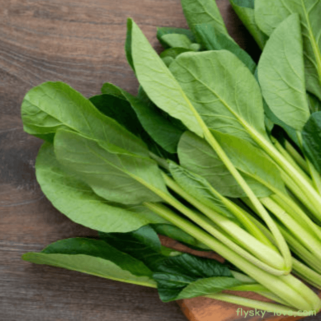 소송채 고르는 법