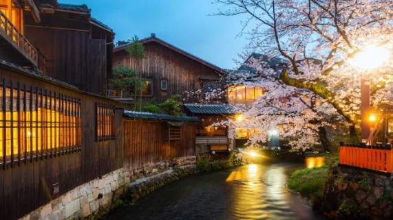 일본여행 벚꽃 명소 추천: 교토, 오사카, 홋카이도