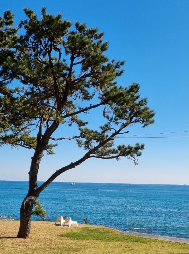 부산 기장 웨이브온 카페: 설명이 필요 없는 오션뷰 원탑
