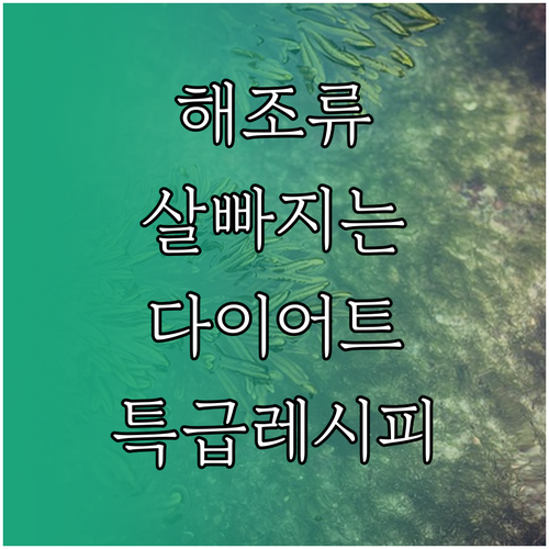 미역 톳 다시마를 활용한 체중 감량 ..