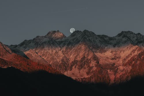 높은산