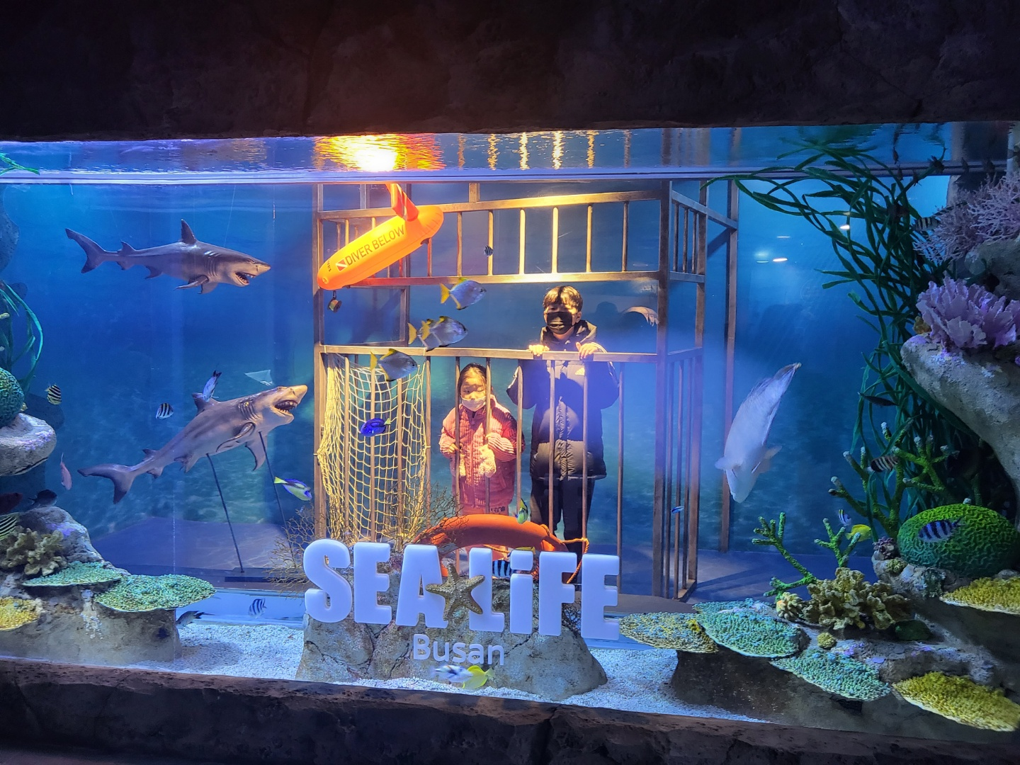 부산 아쿠아리움