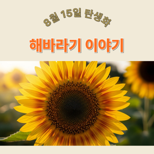 8월 15일 탄생화, 해바라기