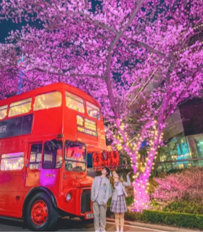 이월드 교복 패키지 