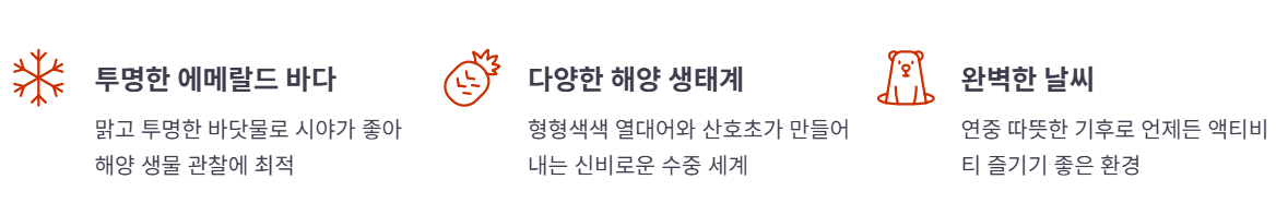 다낭에서 해양 액티비티, 왜 특별할까?