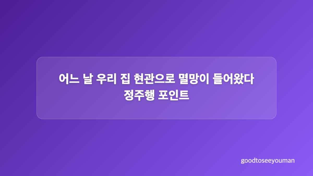방영 기간과 시청률 흐름