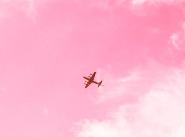 서울의 핑크뮬리 명소