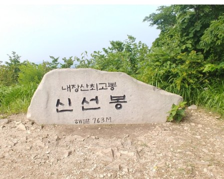 내장산-단풍축제-정상
