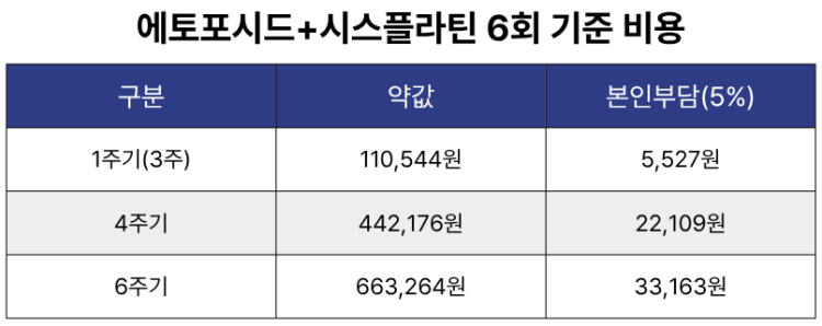 에토포시드+시스플라틴 6회 기준 비용