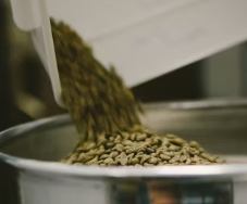 카무트 효소 효능 및 먹는법 총정리