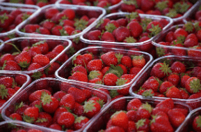 디지털 온누리 상품권 사용방법