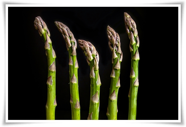 텃밭 "아스파라거스 기르기" 한 번 심으면 10년 동안 거두는 황금 채소!