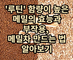 메밀 효능, 부작용, 메밀차 만드는 법