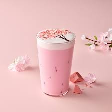 벚꽃시즌-음료3