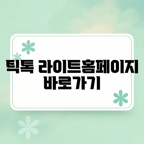 틱톡 라이트홈페이지 바로가기