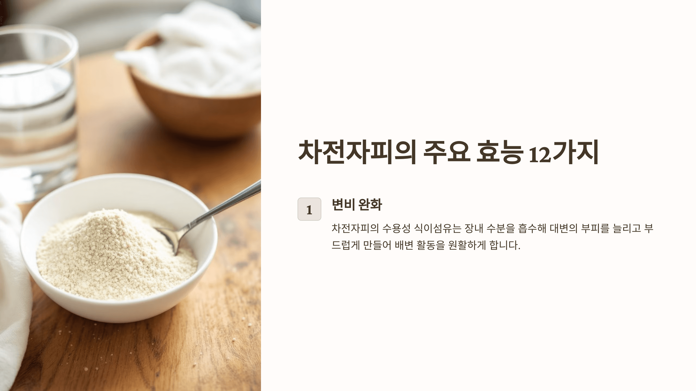 차전자피 사진입니다.