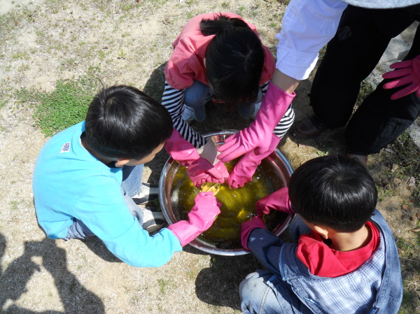 전북 진안 : 진안고원치유숲
