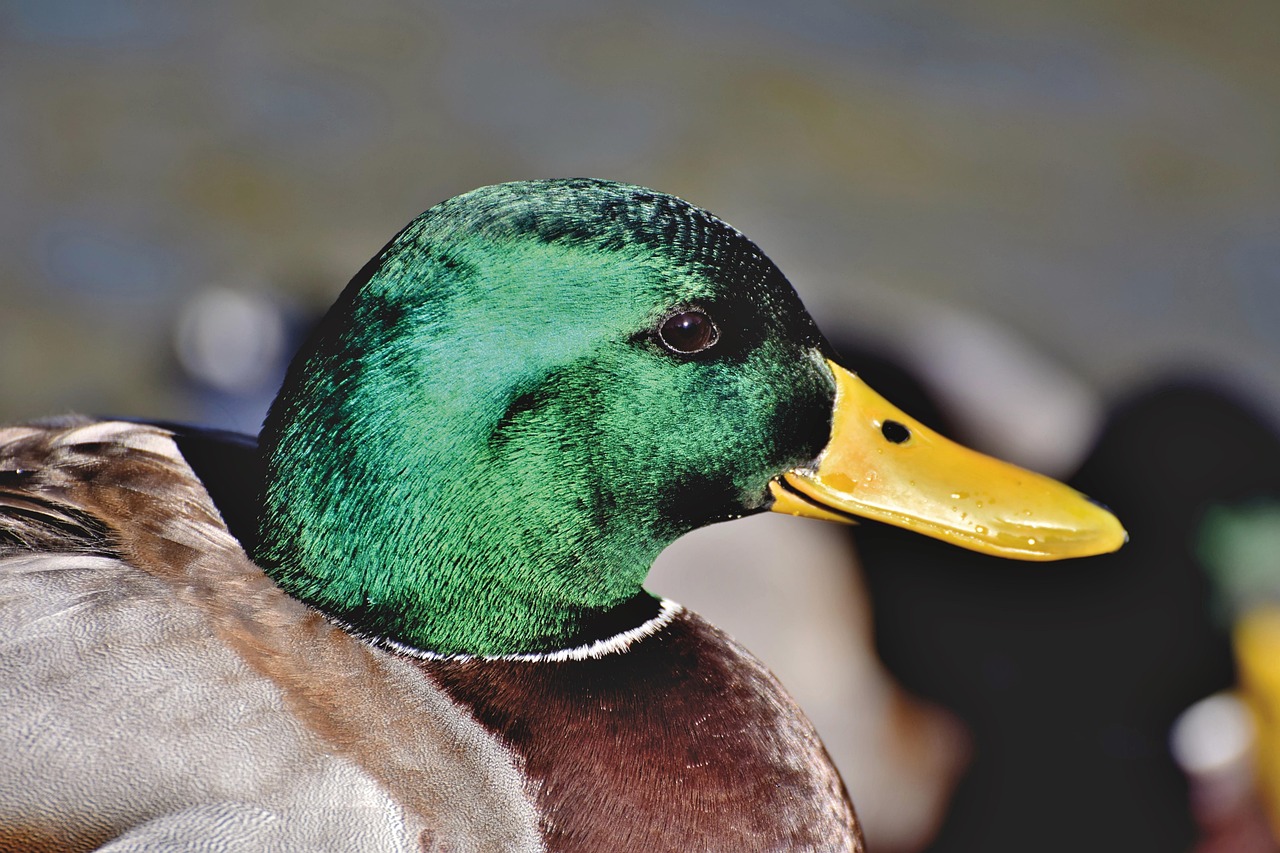 중도상환수수료 계산법