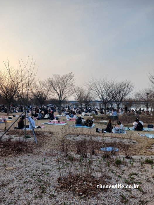 서울 여의도 벚꽃 축제 일정 정원 테마