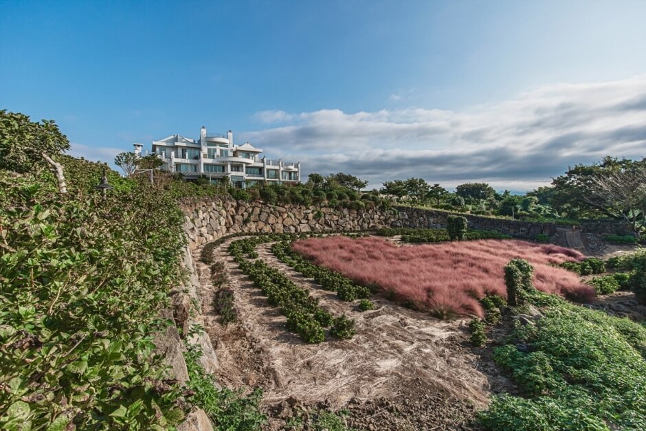 가을 여행지 제주도 은빛 물결 억새 추천 장소