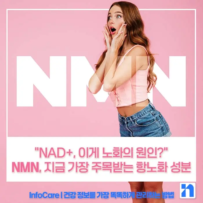 NMN 효능 효과 복용법