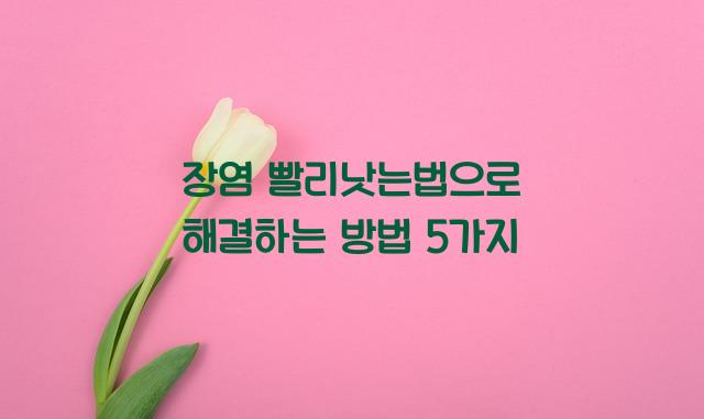 장염 빨리낫는법