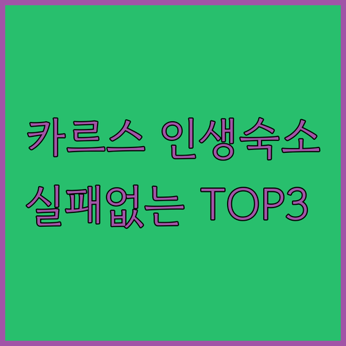 튀르키예 카르스 여행 필수 숙소 TO..