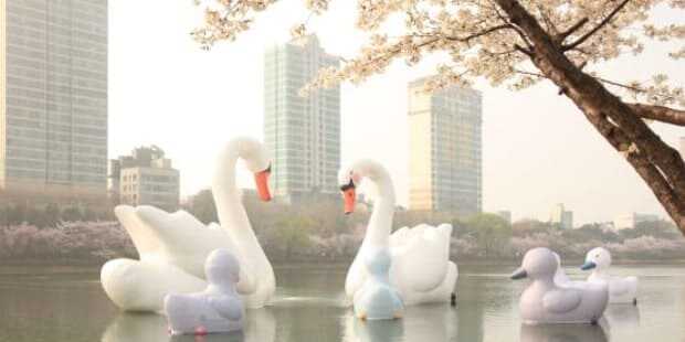 2025 석촌호수 벚꽃축제