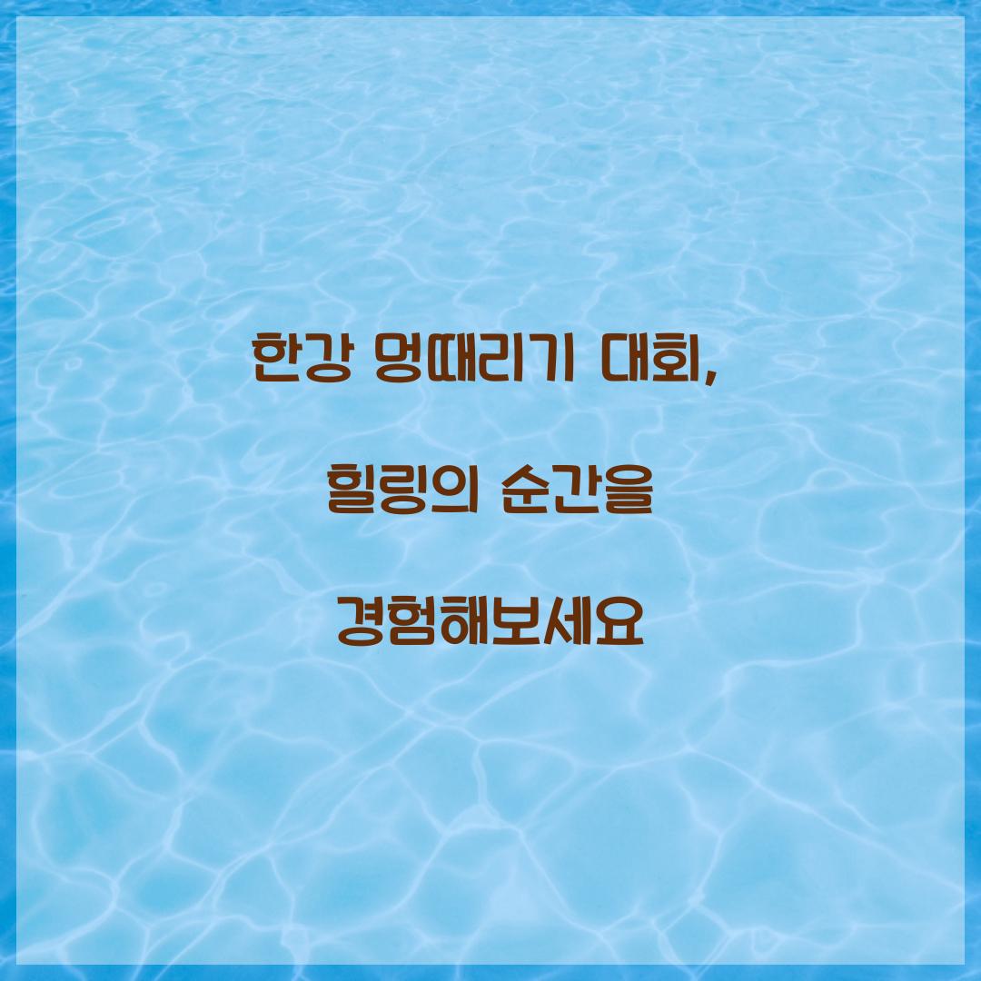 한강 멍때리기 대회