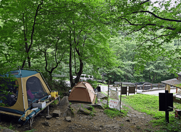 국내선 땡처리 항공권 예약