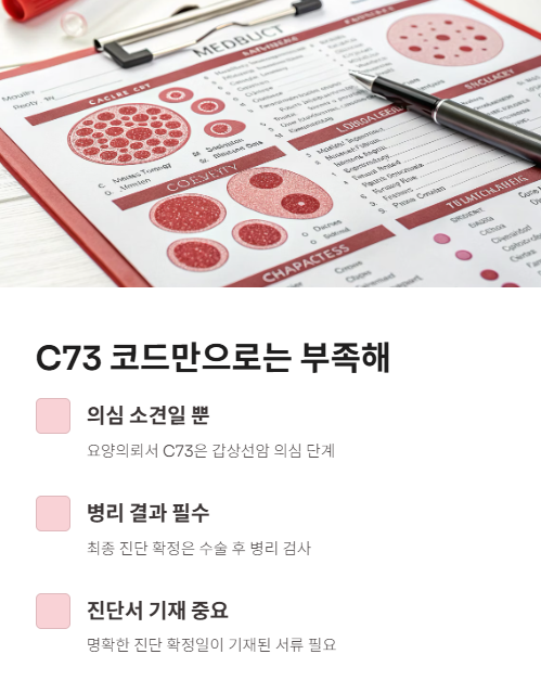 c73 코드만으로는 부족해