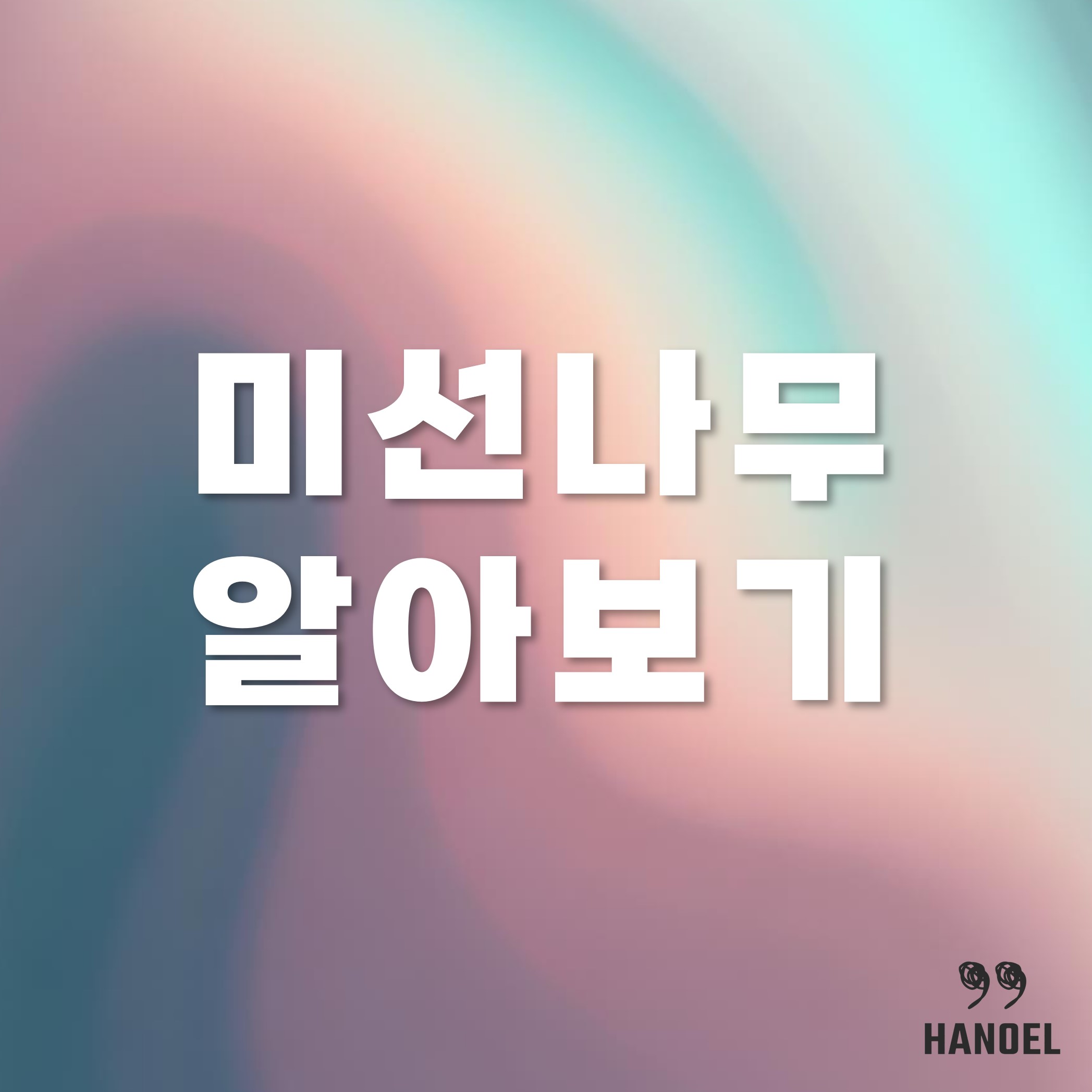 미선나무 알아보기 꽃 꽃말 군락지