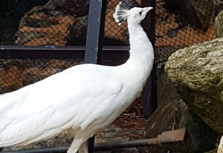 대구 네이처파크