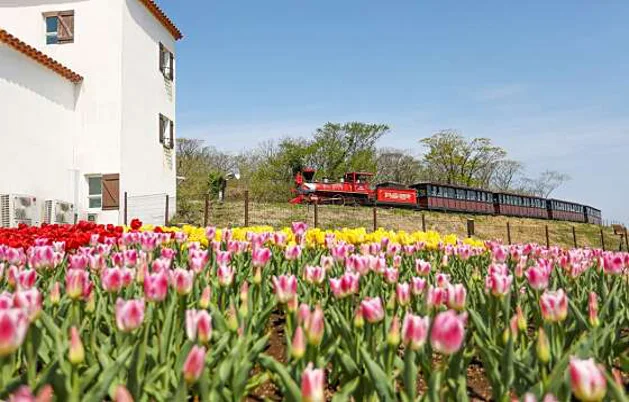 에코랜드 테마파크