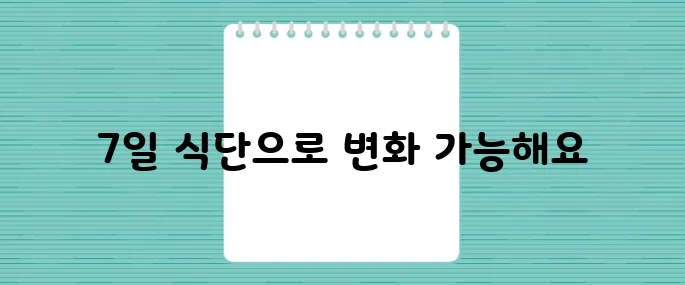 다이어트약 없이도 성공하는 저칼로리 식단 7일 플랜