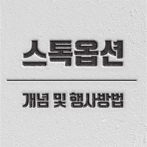 스톡옵션 개념 및 행사