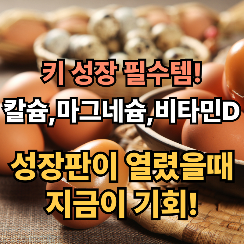 📏성장기 필수 영양소 칼슘·마그네슘·비타민D로 키 쑥쑥!