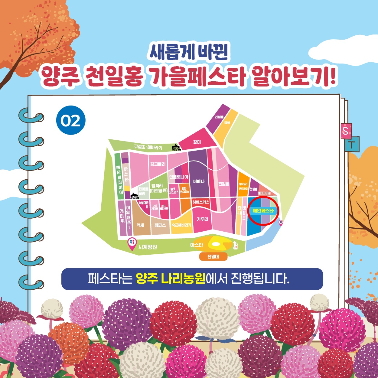양주 천일홍 가을 페스타 살펴보기 7