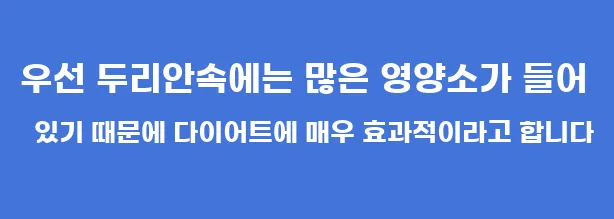 우선 두리안속에는 많은 영양소가 들어 있기 때문에 다이어트에 매우 효과적이라고 합니다