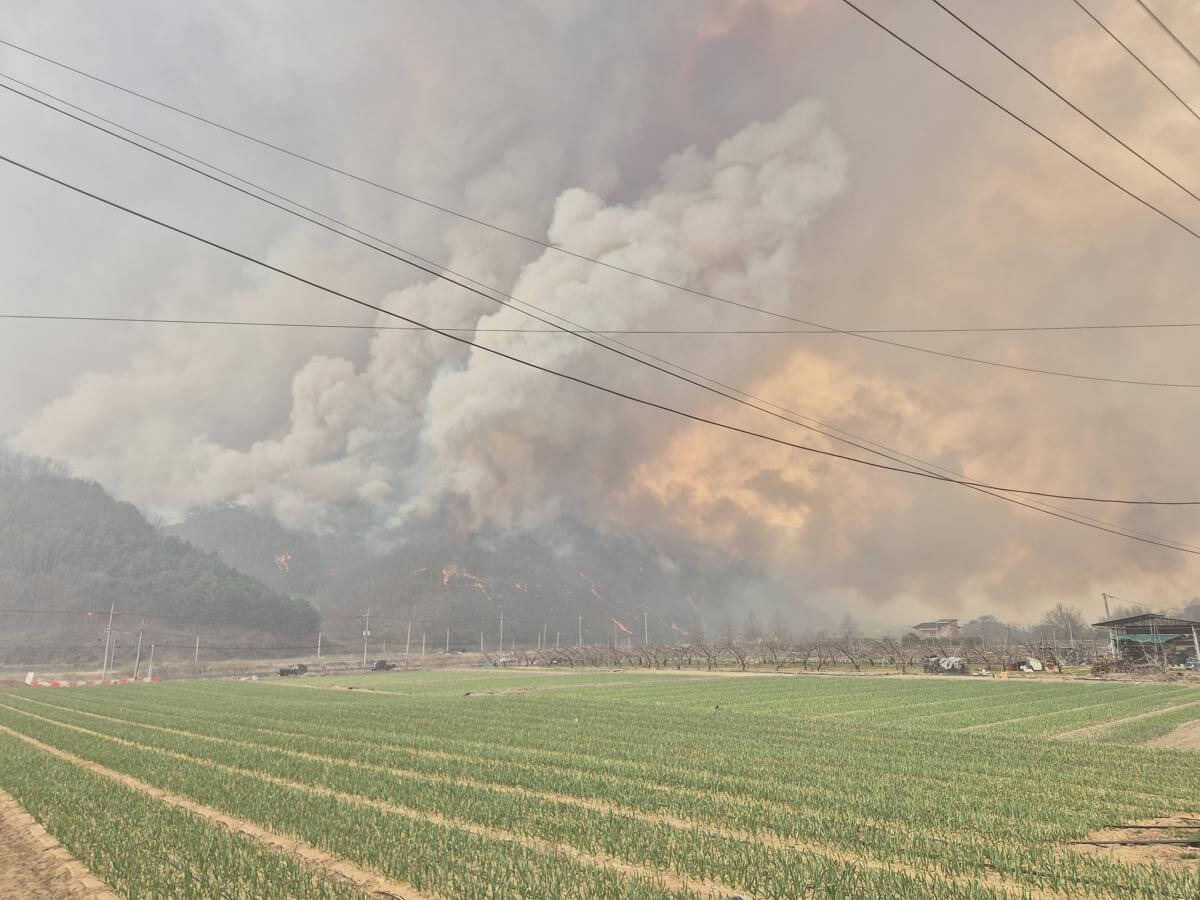 경북 의성 고운사 전소…천년 유산 이전